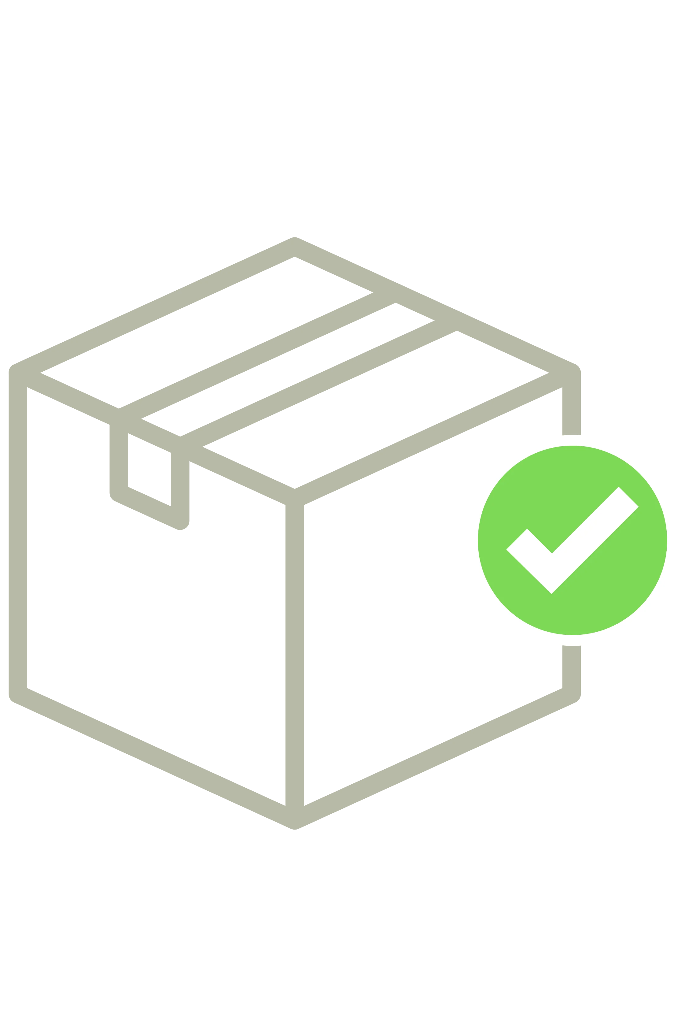 100% Shipping Insurance