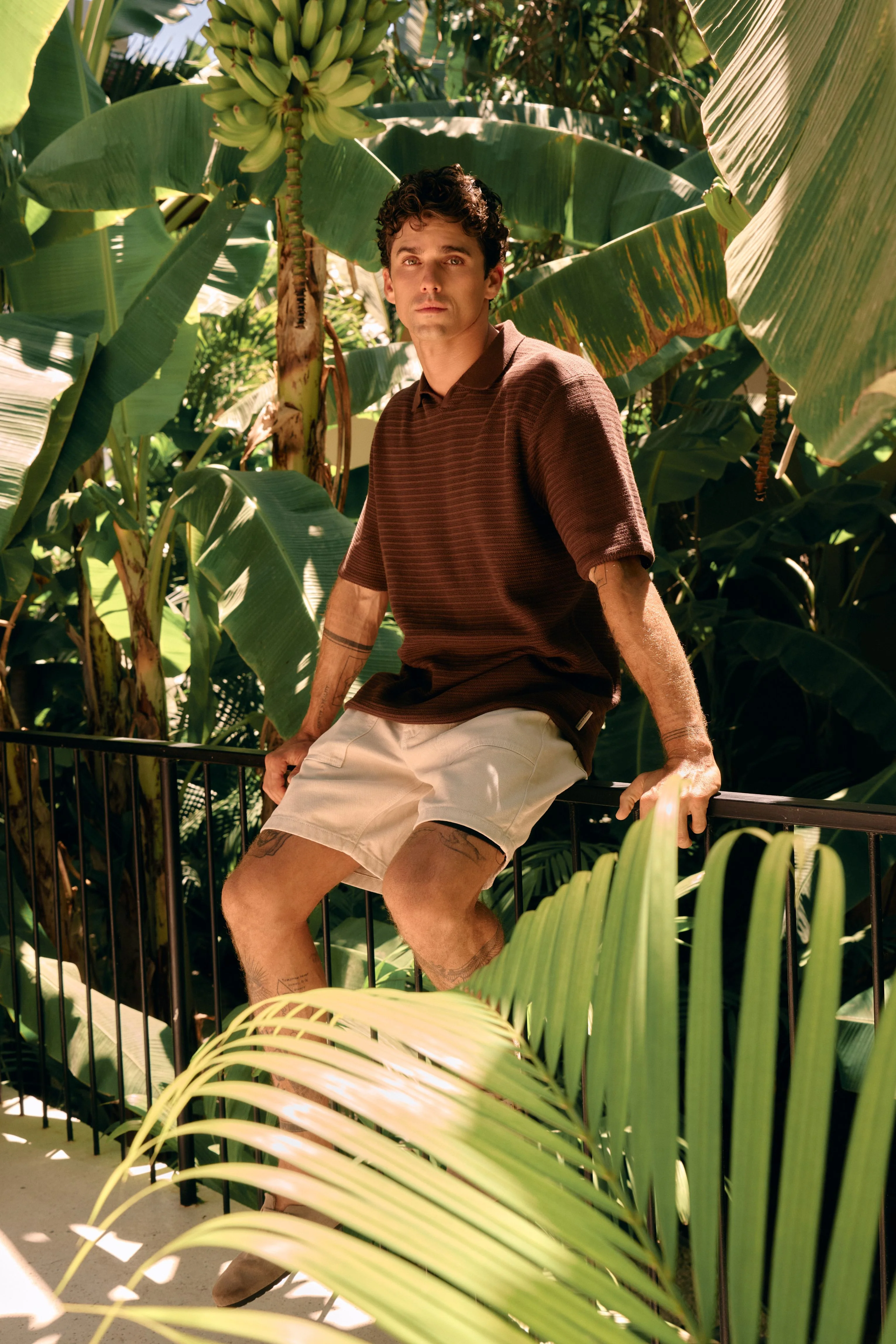 Structure Polo - Brown - Image 4